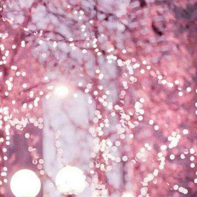 半岛彩票App下载